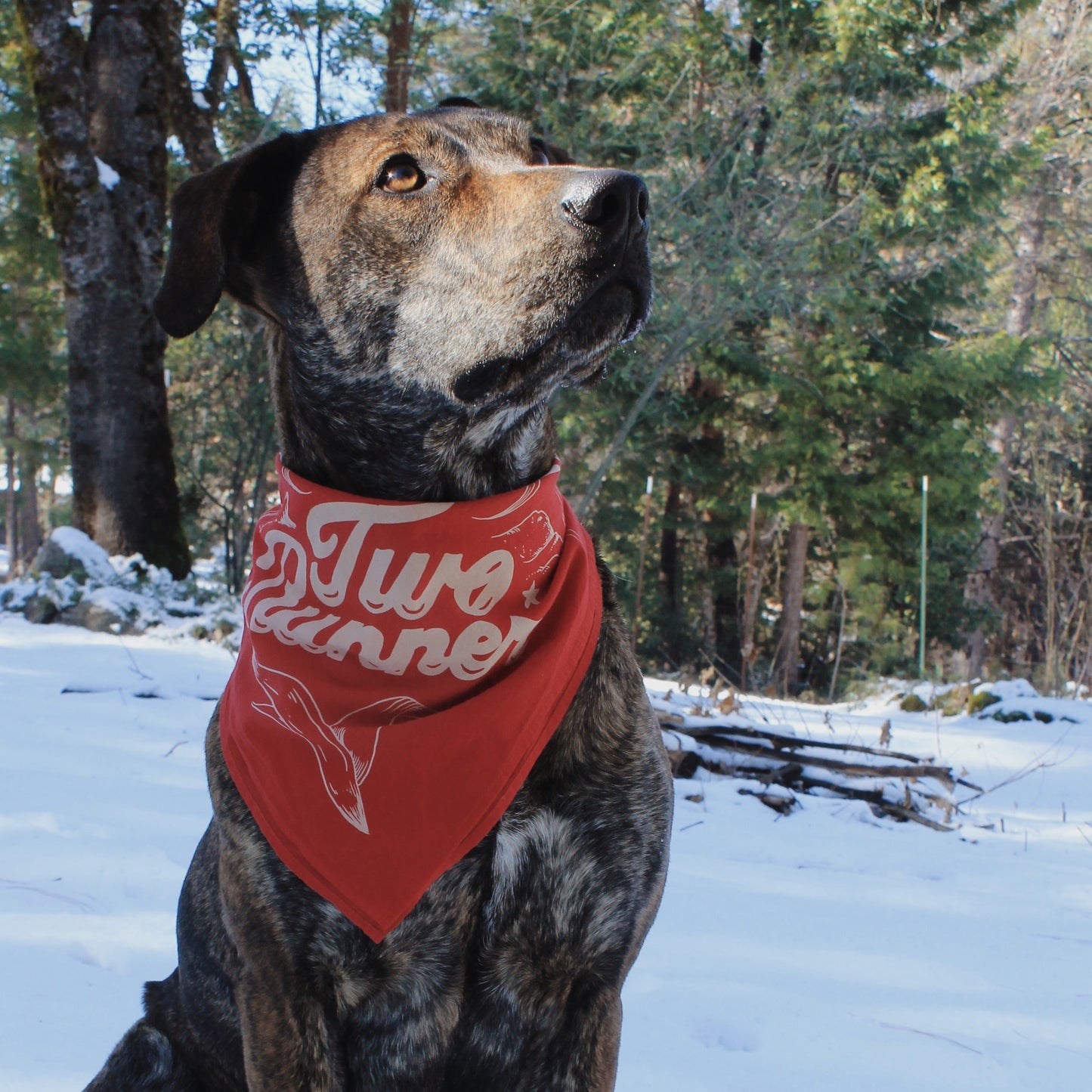 Two Runner Bandana